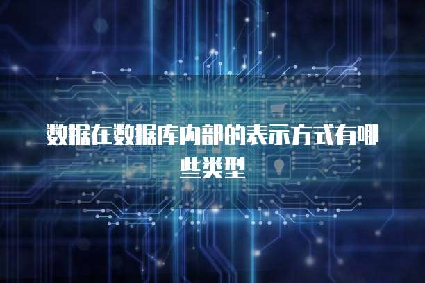 数据在数据库内部的表示方式有哪些类型