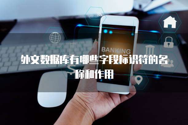 外文数据库有哪些字段标识符的名称和作用