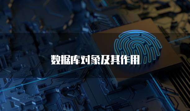 数据库对象及其作用