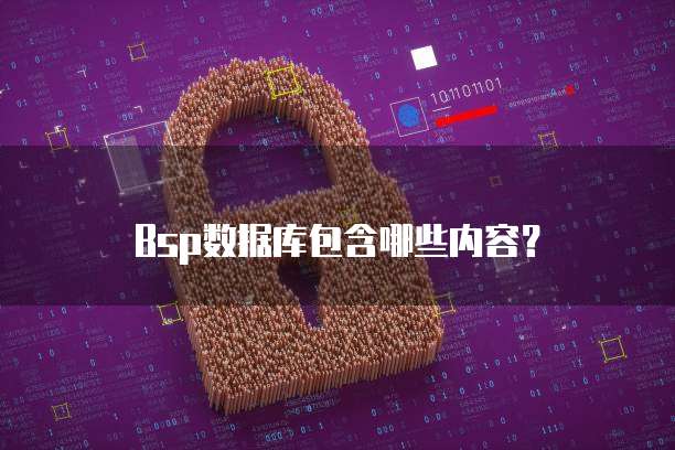 Bsp数据库包含哪些内容？