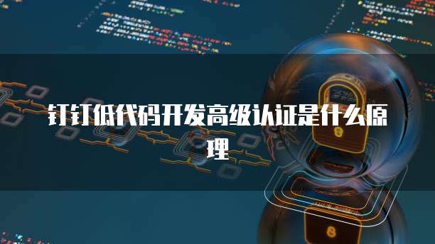 钉钉低代码开发高级认证是什么原理
