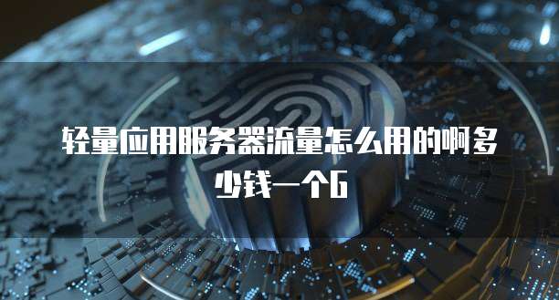 轻量应用服务器流量怎么用的啊多少钱一个G
