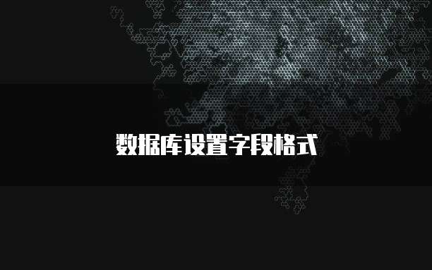 数据库设置字段格式