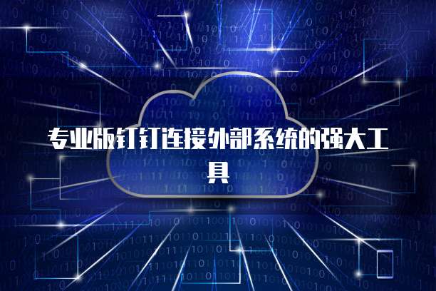 专业版钉钉连接外部系统的强大工具