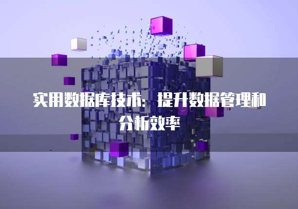 实用数据库技术：提升数据管理和分析效率