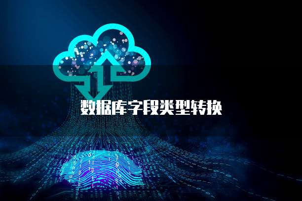 数据库字段类型转换