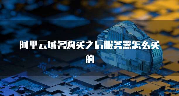 阿里云域名购买之后服务器怎么买的