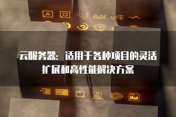 云服务器：适用于各种项目的灵活扩展和高性能解决方案