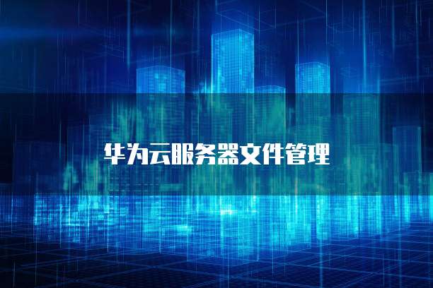 华为云服务器文件管理