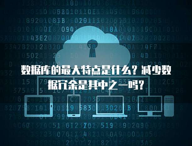 数据库的最大特点是什么？减少数据冗余是其中之一吗？
