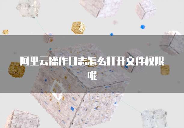 阿里云操作日志怎么打开文件权限呢