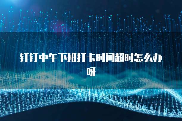 钉钉中午下班打卡时间超时怎么办呀
