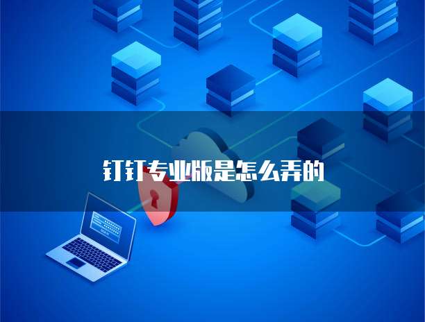 钉钉专业版是怎么弄的