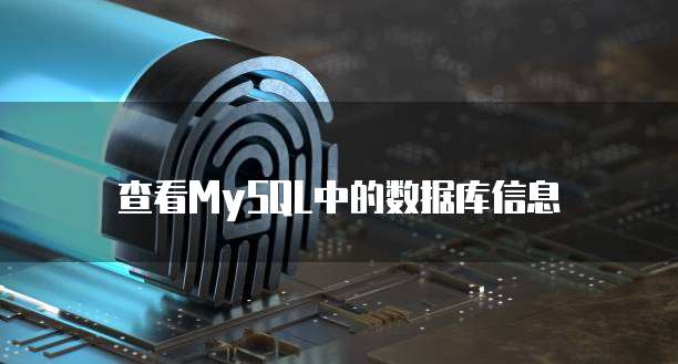 查看MySQL中的数据库信息