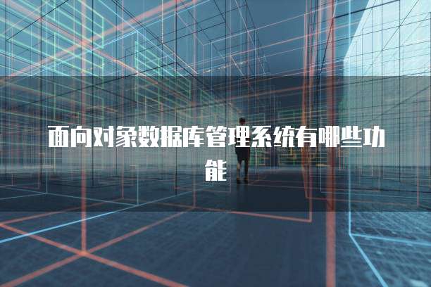 面向对象数据库管理系统有哪些功能