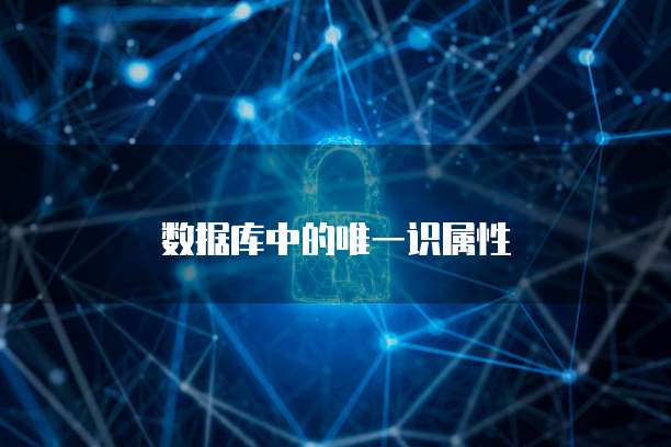 数据库中的唯一识属性