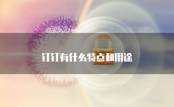 钉钉有什么特点和用途