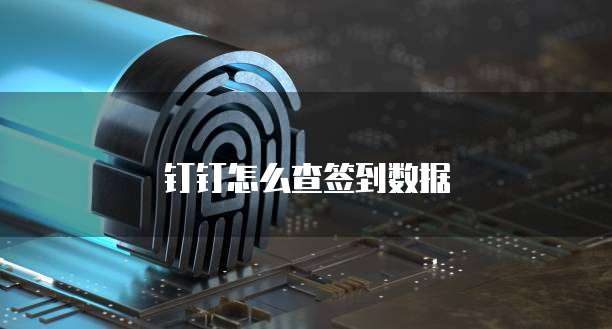 钉钉怎么查签到数据