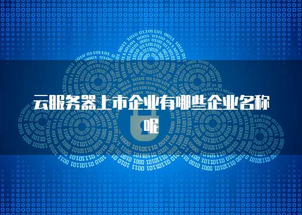 云服务器上市企业有哪些企业名称呢