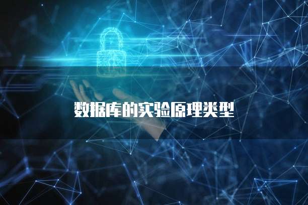数据库的实验原理类型