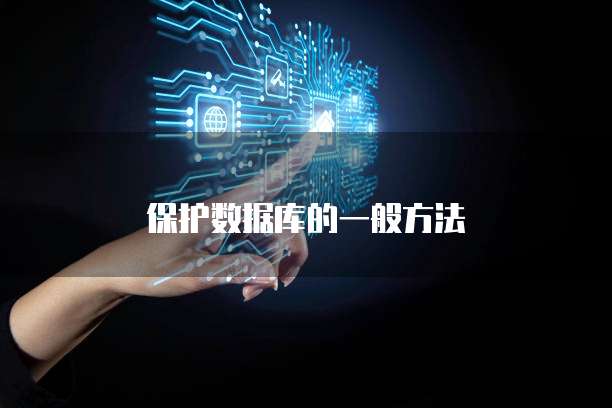 保护数据库的一般方法