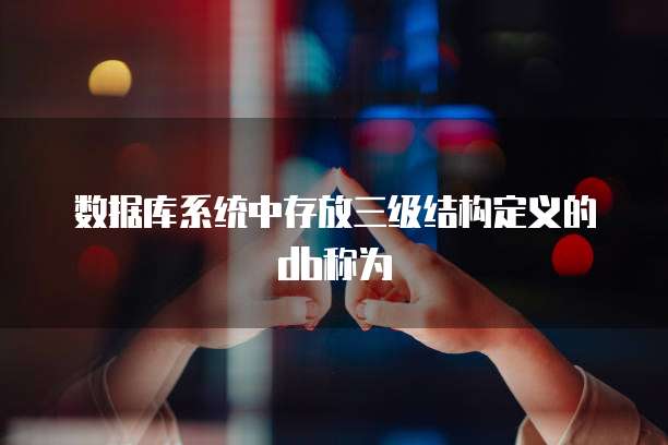 数据库系统中存放三级结构定义的db称为