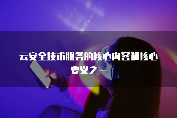 云安全技术服务的核心内容和核心要义之一