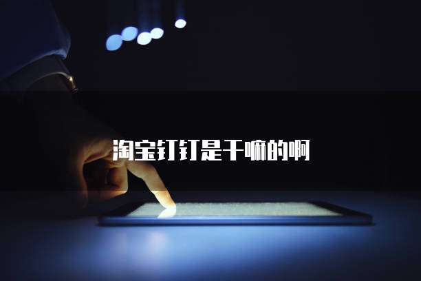 淘宝钉钉是干嘛的啊