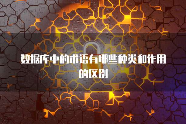 数据库中的术语有哪些种类和作用的区别