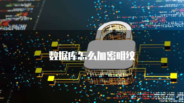 数据库怎么加密明纹