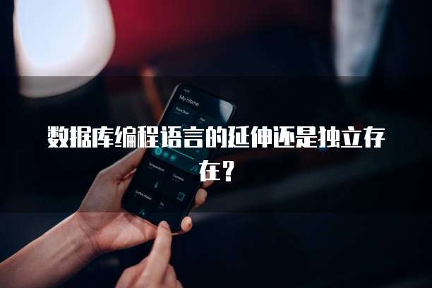 数据库编程语言的延伸还是独立存在？