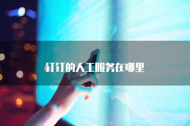 钉钉的人工服务在哪里