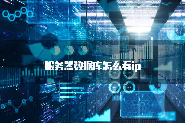 服务器数据库怎么看ip