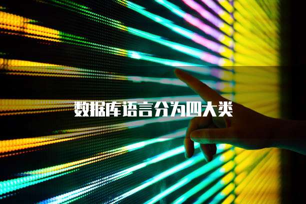 数据库语言分为四大类