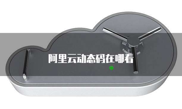阿里云动态码在哪看