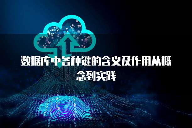 数据库中各种键的含义及作用从概念到实践