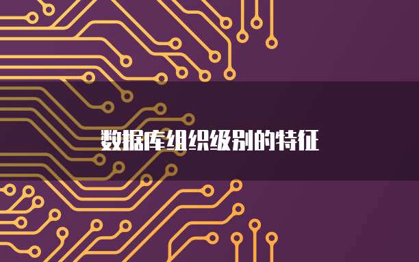数据库组织级别的特征