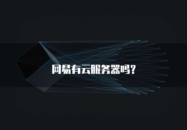 网易有云服务器吗？