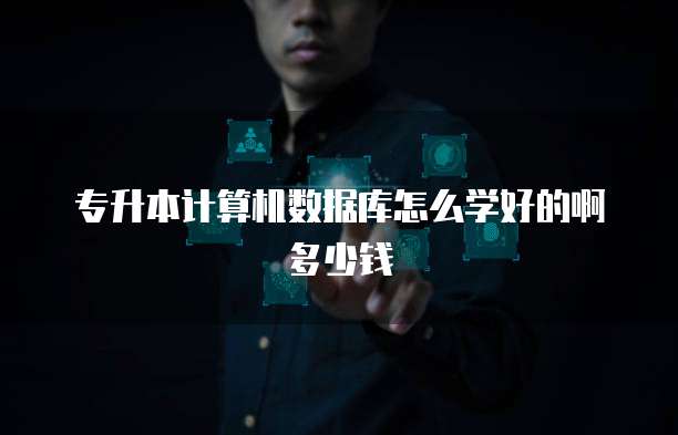 专升本计算机数据库怎么学好的啊多少钱