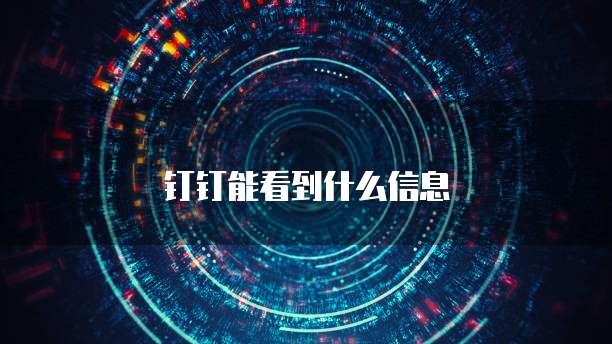 钉钉能看到什么信息