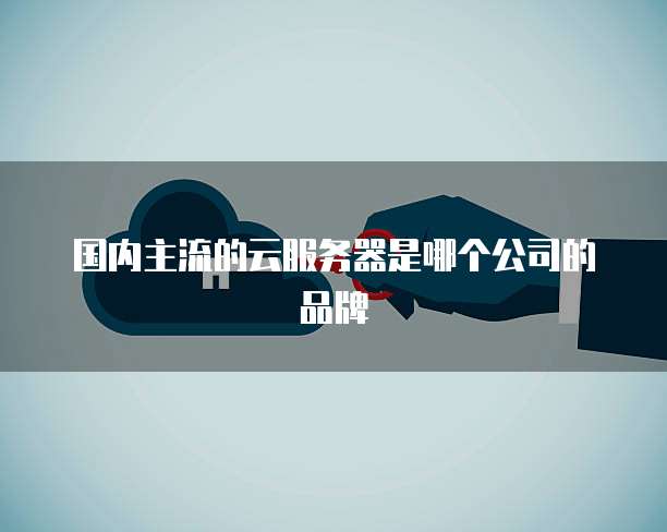 国内主流的云服务器是哪个公司的品牌