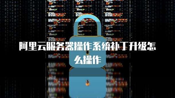 阿里云服务器操作系统补丁升级怎么操作