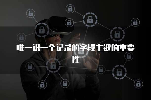 唯一识一个记录的字段主键的重要性