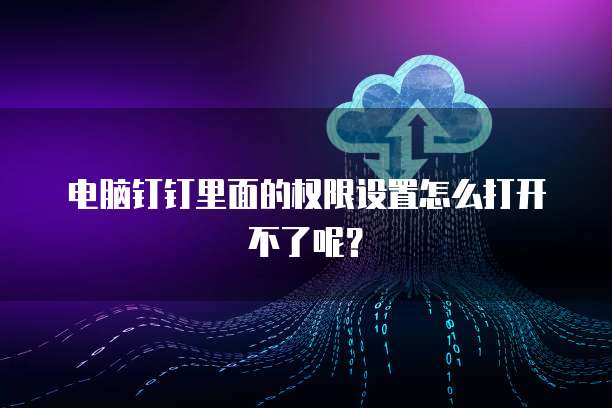 电脑钉钉里面的权限设置怎么打开不了呢？