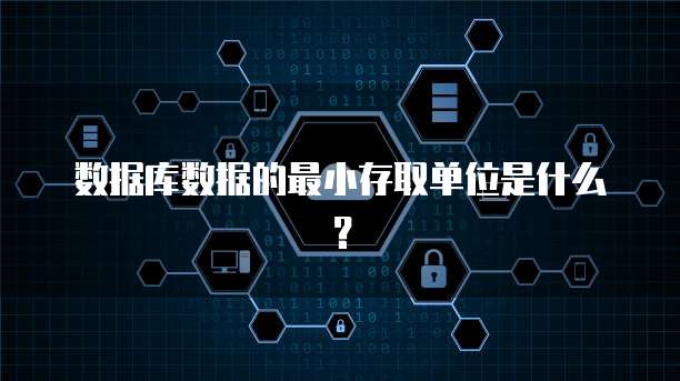 数据库数据的最小存取单位是什么？