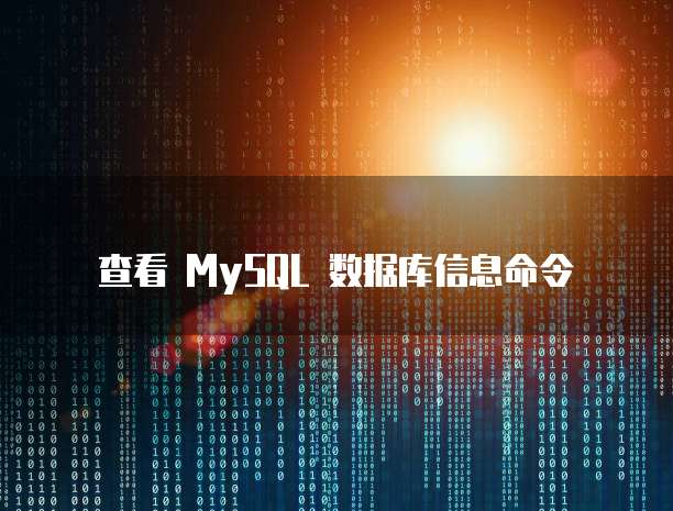 查看 MySQL 数据库信息命令