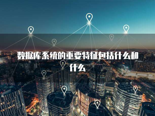 数据库系统的重要特征包括什么和什么