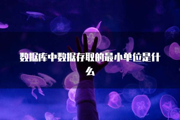 数据库中数据存取的最小单位是什么
