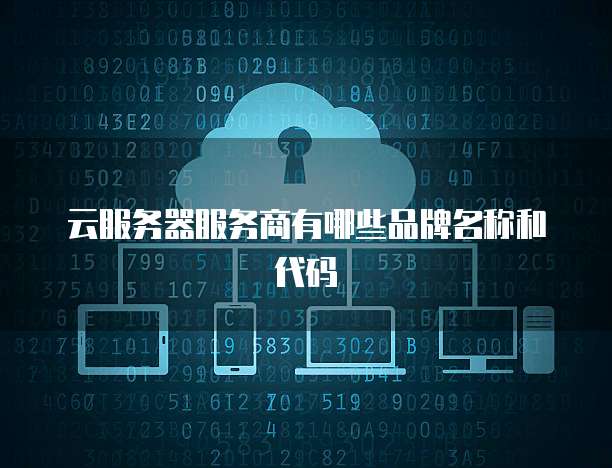 云服务器服务商有哪些品牌名称和代码