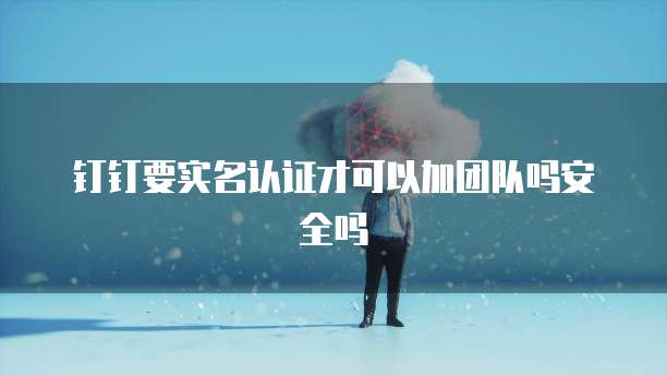 钉钉要实名认证才可以加团队吗安全吗